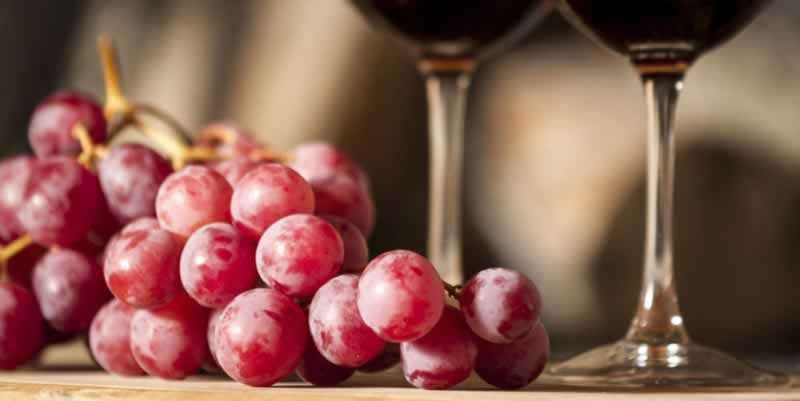 What Size Chiller Does Your Winery Need? Here’s How We Get It Right